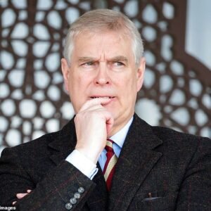 Prince Andrew reported to the police after 'using fake name' to register a company