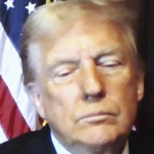 Trump's Splotchy Tan Totally Overshadows His Virtual Sentencing Appearance