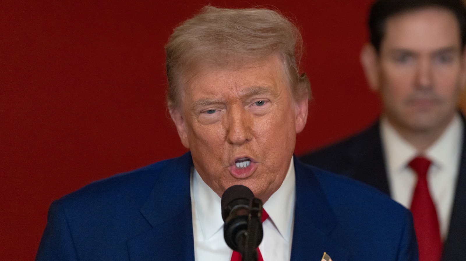 The Truth Behind Trump's Hair: A Closer Look at the Famous Comb-Over 4 trumps hair cant hide bald spots anymore his bright scalp is nightmare worthy 2