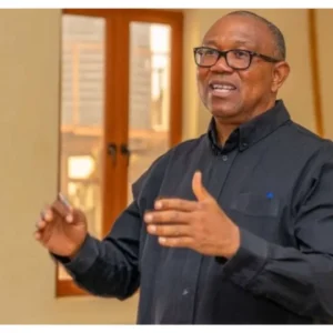 2027: Four years enough to make impact - Peter Obi insists 