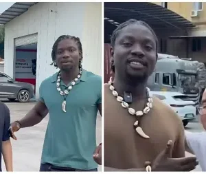 VDM, Ross update Video 13 VDM Ross