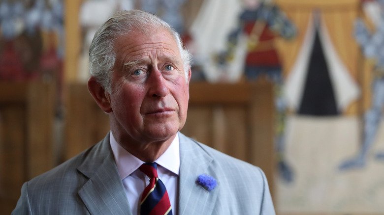 Prince Charles photographed in front of a colorful background