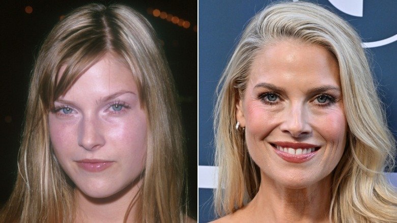 Side-By-Side Photos Of Ali Larter's Face Transformation Fuel Plastic Surgery Rumors