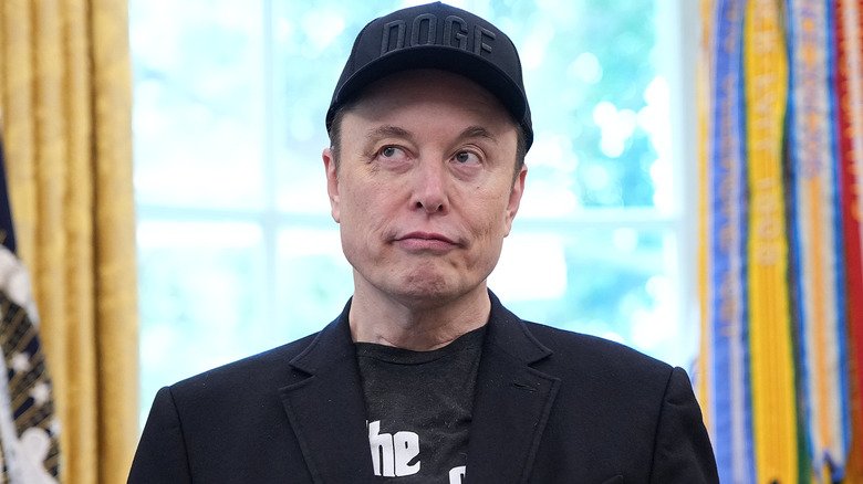 Elon Musk at the White House