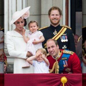 Outrage As Prince Harry Supposedly 'Steals The Spotlight' From Prince Louis' Birthday