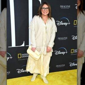 Rachael Ray Red Carpet Outfits That Didn't Deserve The Hate