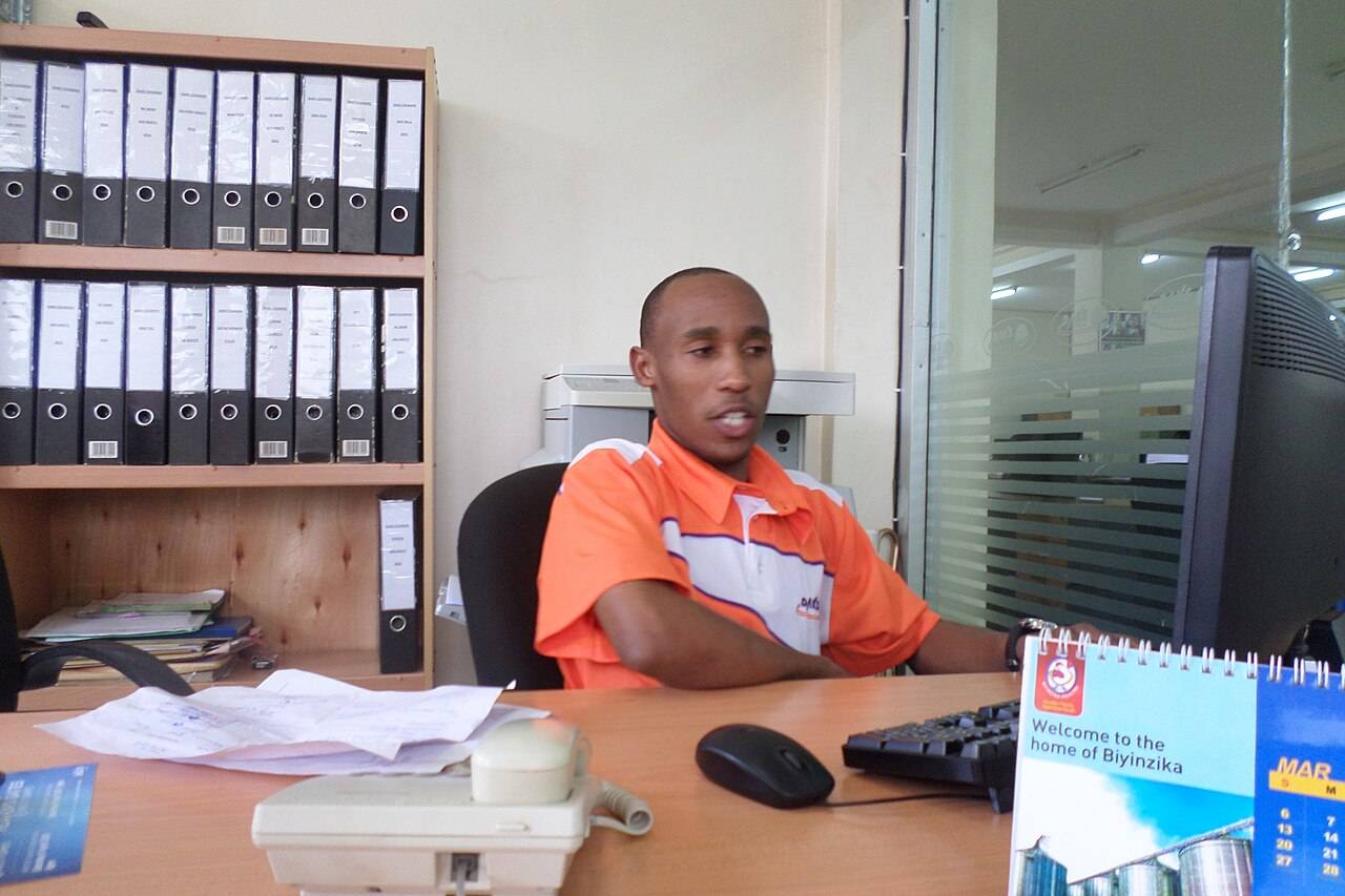 Small business team working in an organised office
