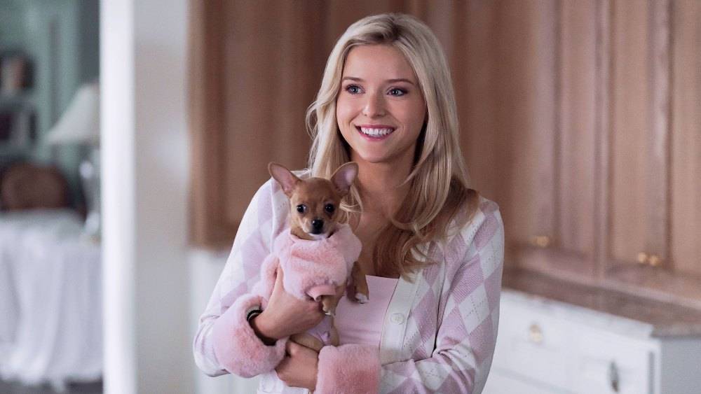 Elle TV Series Review: Why the Legally Blonde Prequel Is Winning Over Skeptics 138 legally blonde prequel elle is a winner that proves doubters wrong review 4