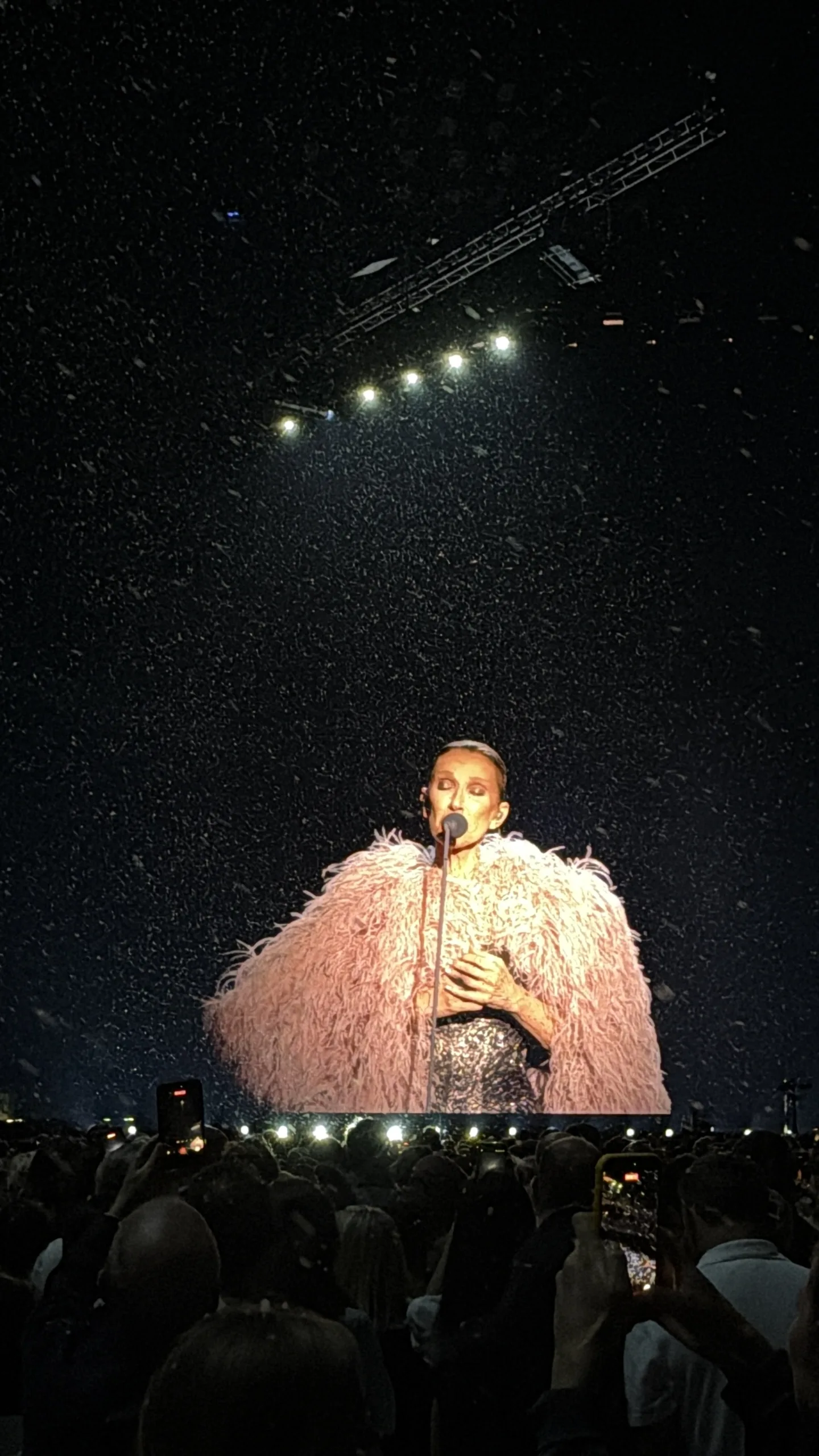 Open the featured image for Celine Dion Paris Fall Turns Scary Stage Moment Into Comeback Symbol Celine Dion performing at La Plenitude Arena in Paris in 2026