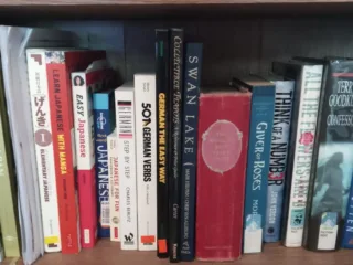 A row of fiction and language books on a wooden bookshelf