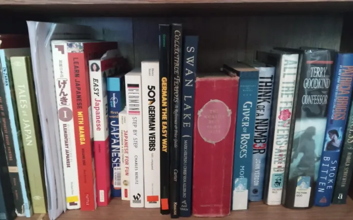 A row of fiction and language books on a wooden bookshelf