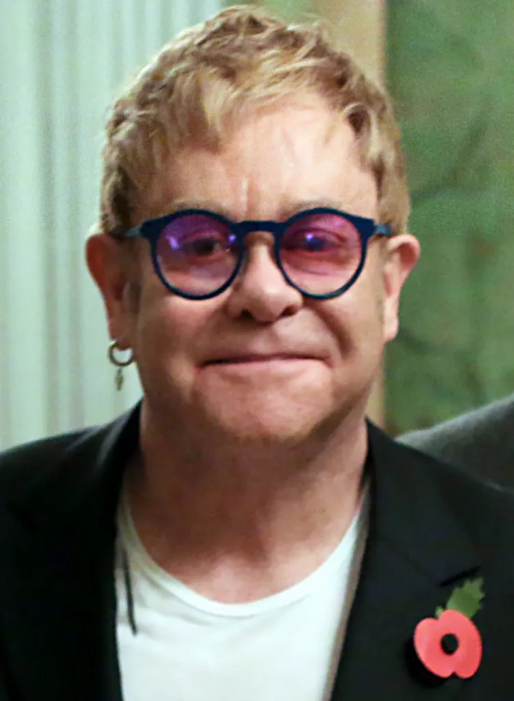 Elton John wearing round glasses and a remembrance poppy in a November 2015 archive portrait
