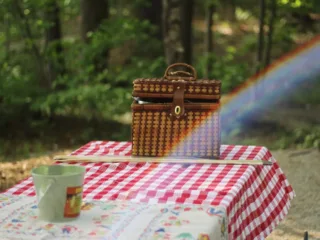 Wicker picnic basket on a checked tablecloth at White Lake State Park