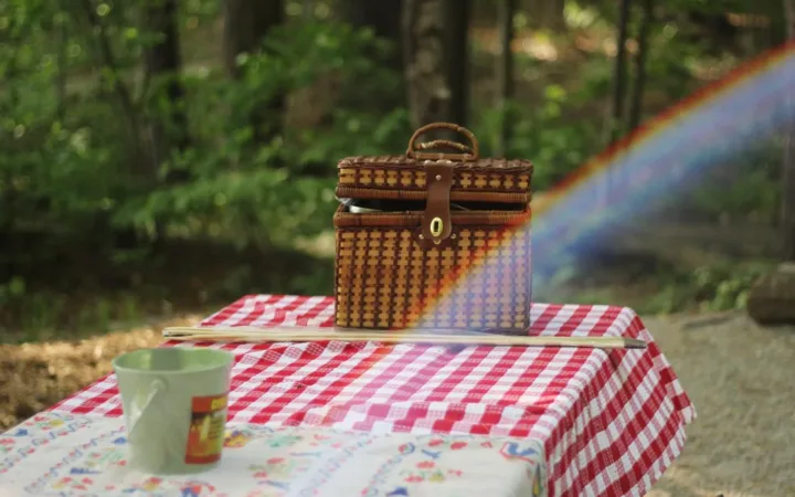 Wicker picnic basket on a checked tablecloth at White Lake State Park