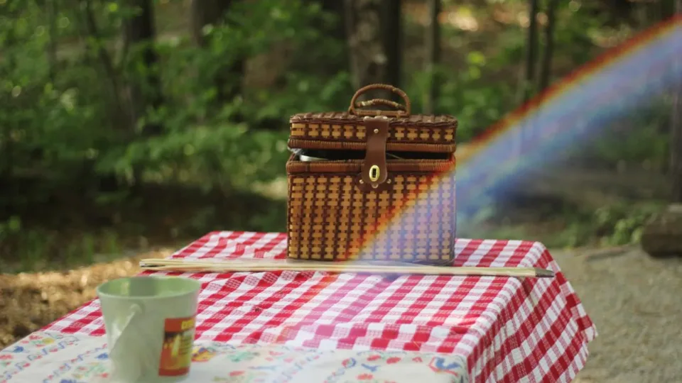 Wicker picnic basket on a checked tablecloth at White Lake State Park